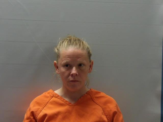 Booking photo of Dickenson, Robyn