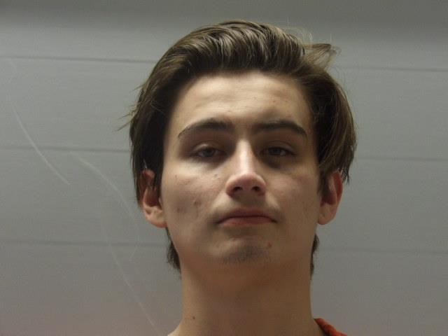 Booking photo of WALKINGBULL, TRENTON